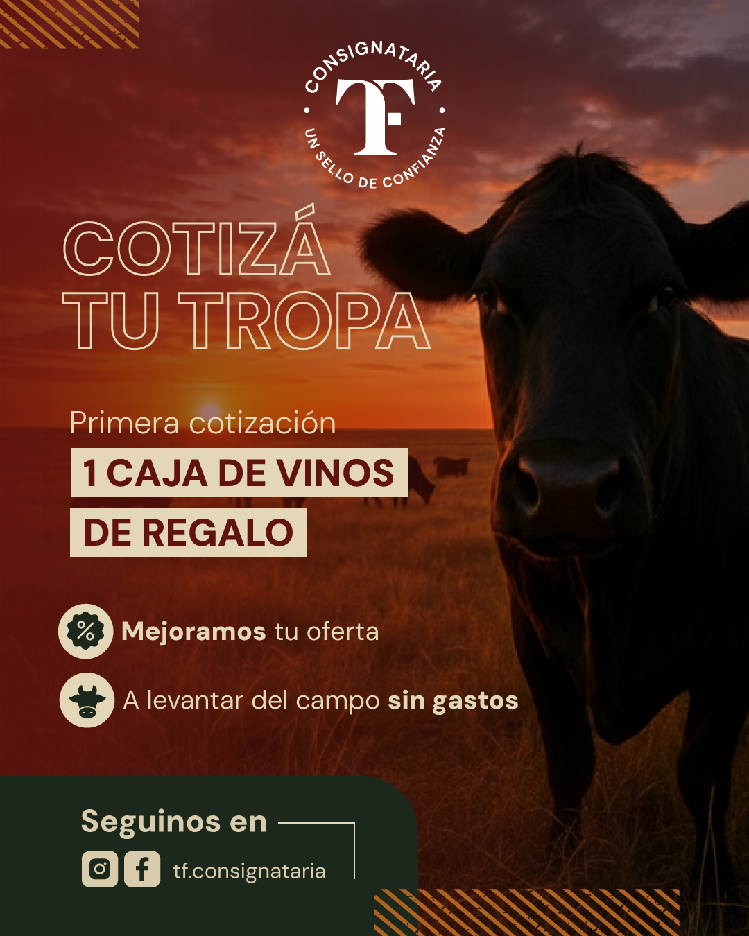 comunicado-especial